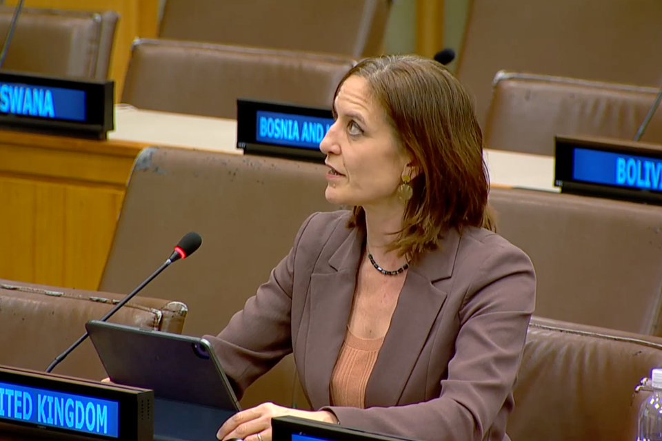 O Reino Unido não vai vacilar na sua defesa dos direitos humanos: Declaração do Reino Unido na Terceira Comissão da ONU