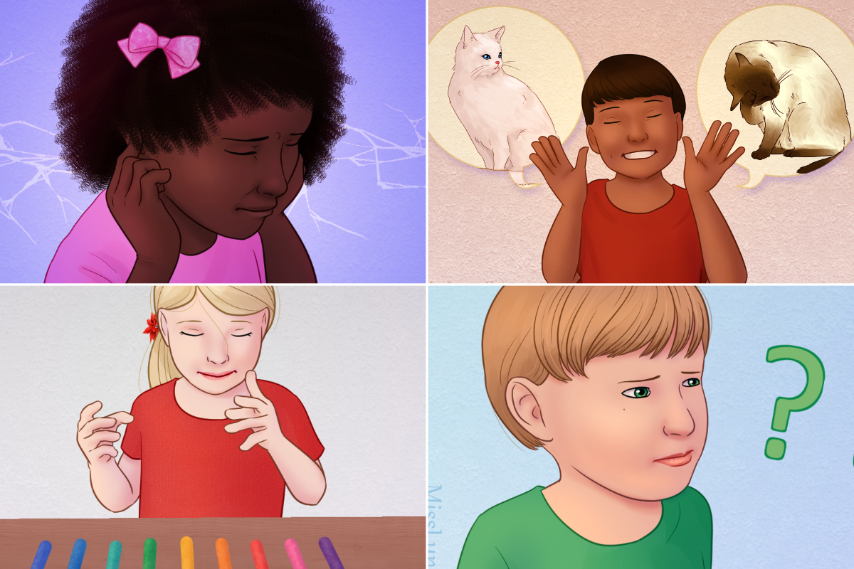 Imagem de referência de autismo, descrito nos dados abertos como perturbação do neurodesenvolvimento