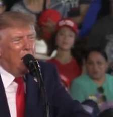 Donald Trump não gostou do resultado da eleição brasileira. Foto: Reprodução/Redes sociais