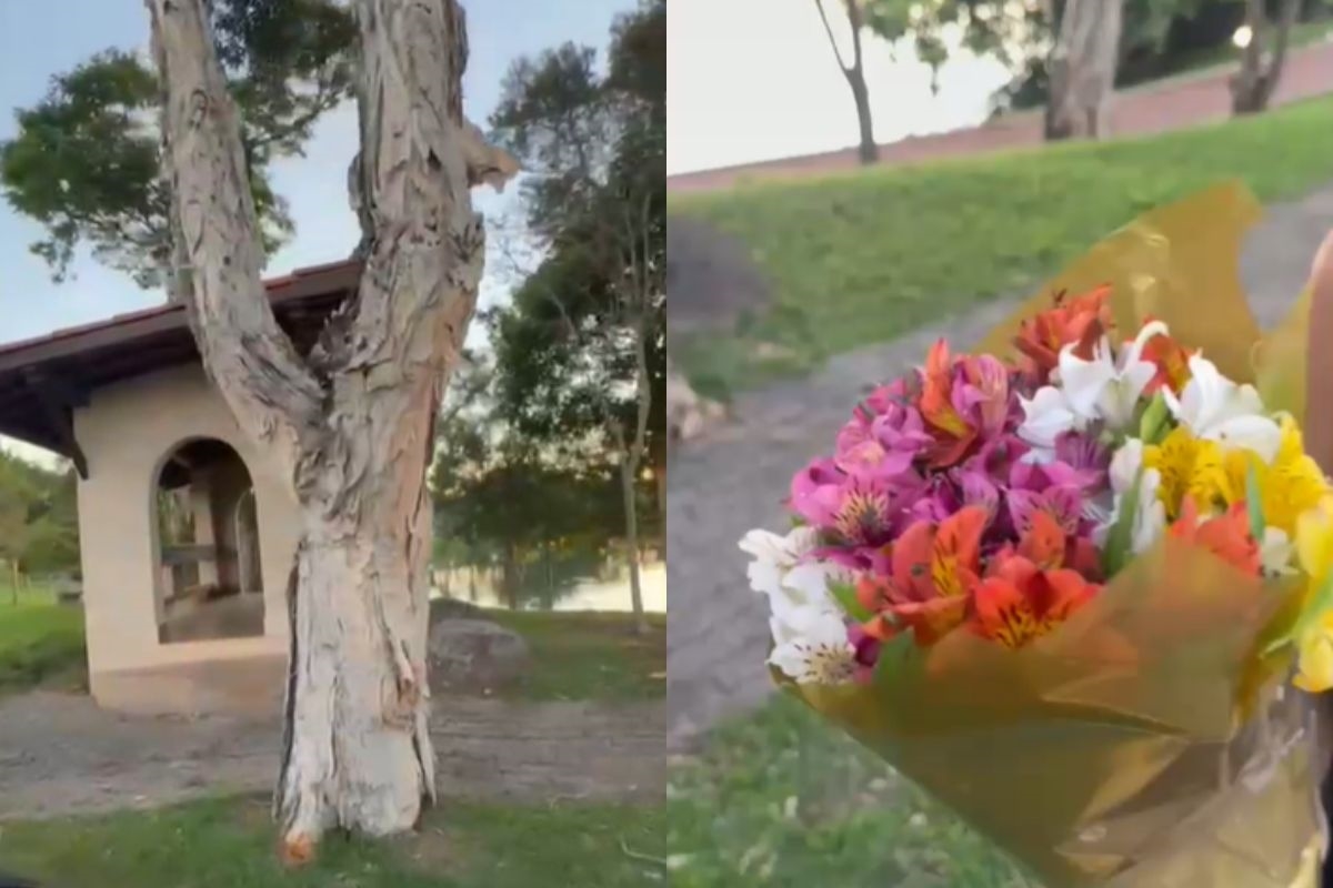 Influenciadora 18+ recebe R$ 13 mil para "casar" virtualmente com assinante