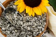 Dieta rica em antioxidantes pode ajudar a melhorar a acne em mulheres