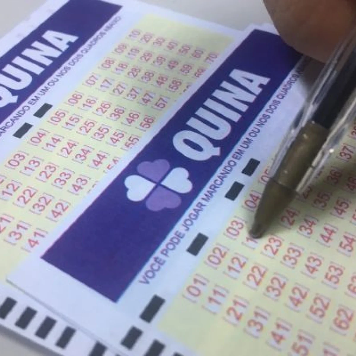 Quina 7137 acumula, e prêmio vai a R$ 28,5 milhões. Veja resultado