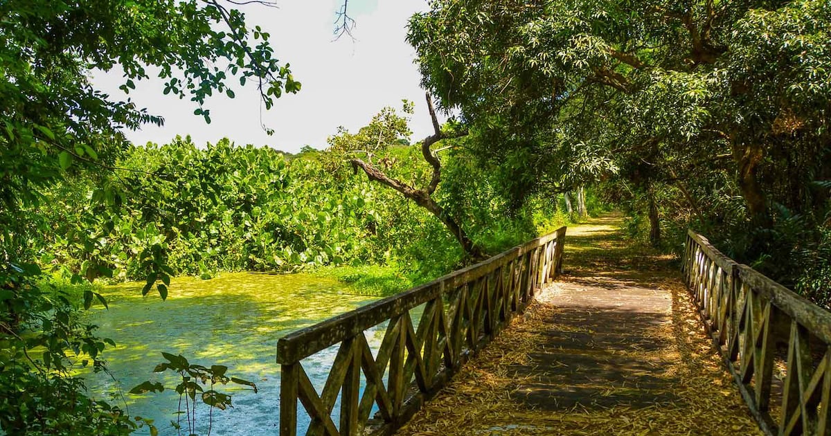 Dia das Crianças: Jardim Botânico terá programação especial nesta segunda-feira; confira