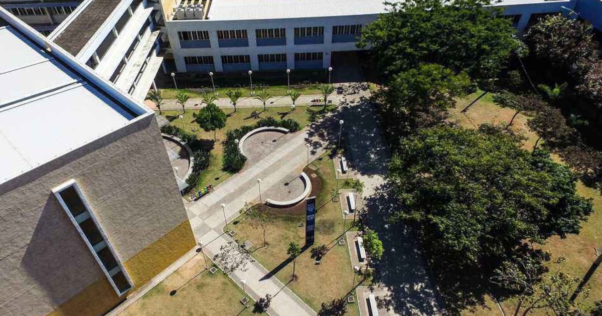Suspeitos de tentar roubar carro são presos após perseguição e buscas em mata da UFMG, em BH
